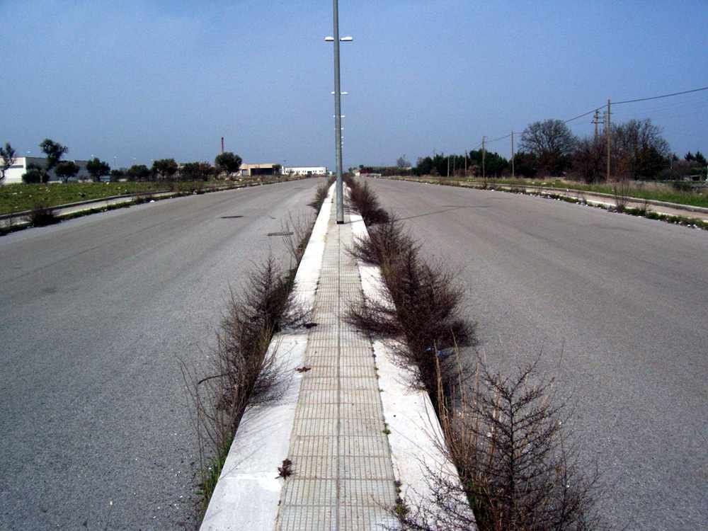 erba_per_strada