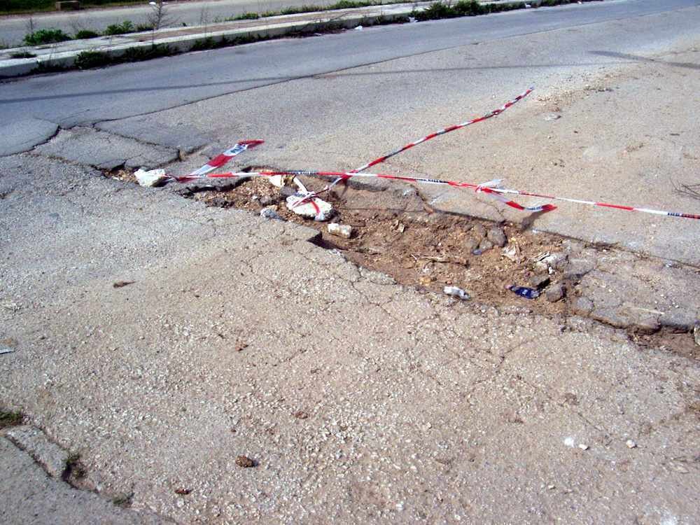 voragini