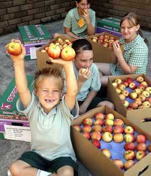 fruitschool