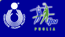 logo-fipav