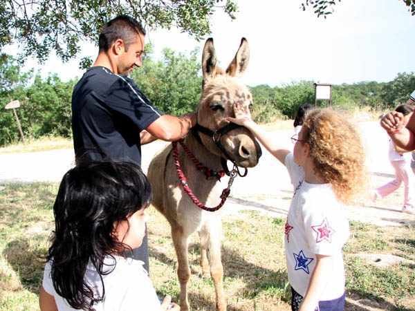 educativo_20091027_1911418909