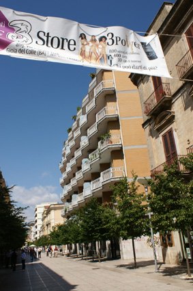 DSC03491