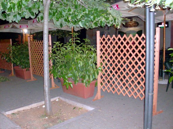 bar_sulle_piazze