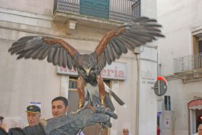 falco