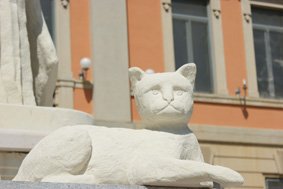gatto1