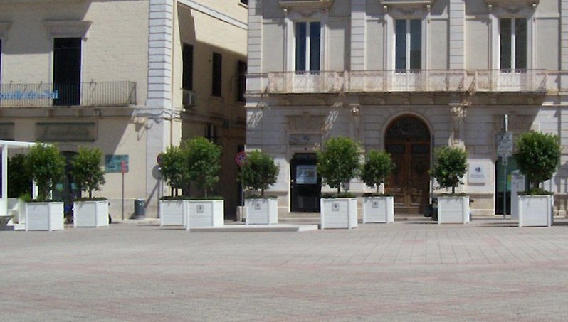 gazebo-piante-pino