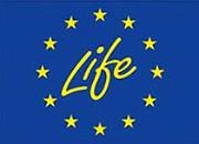 logo_life.jpg_2089811401