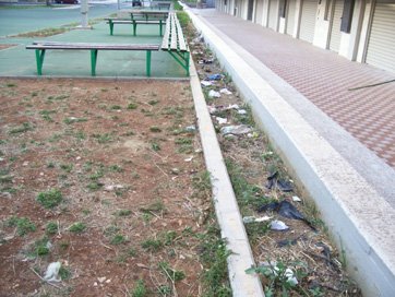 sporcizia-palestrone