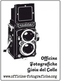 41813_198000619874_6556_n