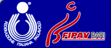logo-fipav-mini
