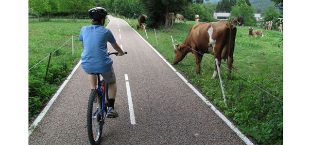 ciclovia-nella-campagna