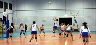 new-volley-vince