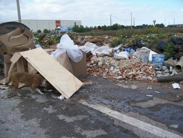 rifiuti-cimitero-e-cani