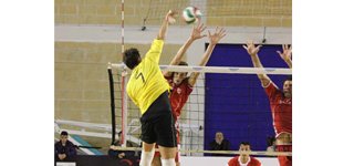 solleone-molfetta-pp