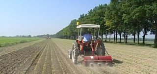 Aziende-Agricole-11-pp