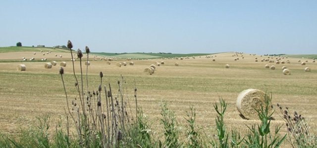 guida-murgia-Canale_Lummo-p