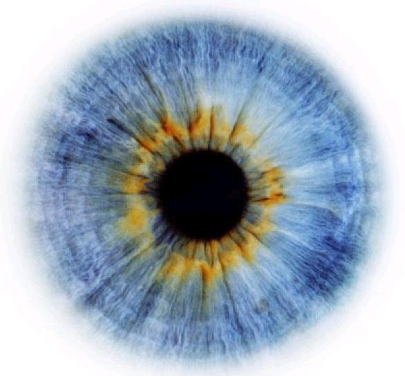 iride_circolo_unione