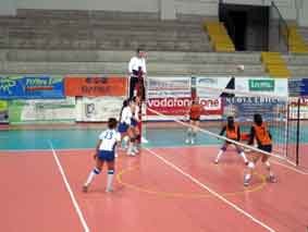 new-volley-gioco