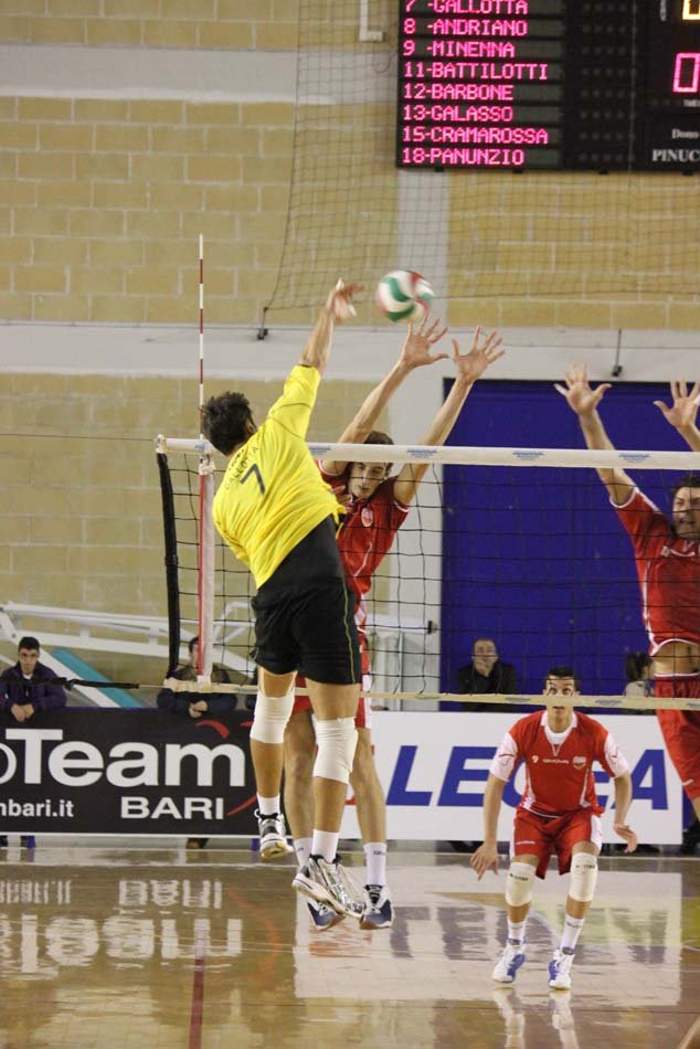 team_volley_joya_a_rete