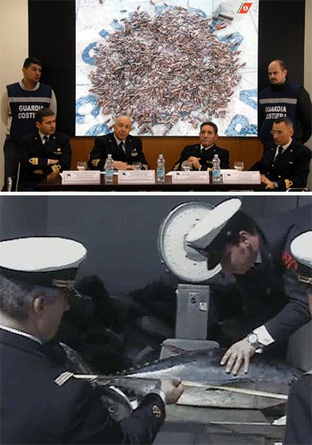 capitaneria