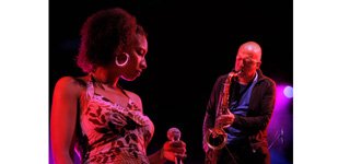 tok-tok-tok-14.jpg-pp