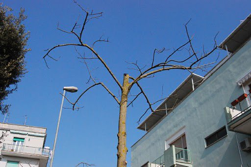 cid_F84CA5C6378A11E09BD090