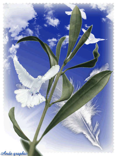 DOMENICA_DELLE_PALME