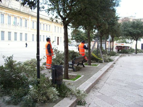 potature-alberi-p.azza-dall