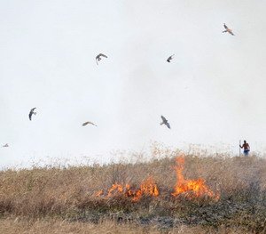 bruciatura_stoppie_incentivi