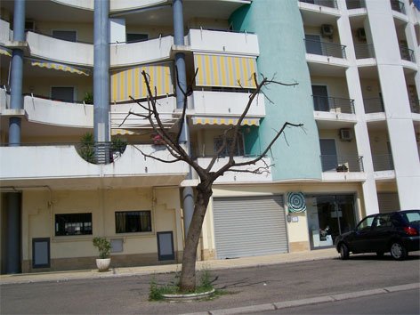 potatura-via-pastore2