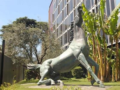 rai_cavallo270405_adn--400x300