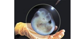 rotary-e-bioetica-pp