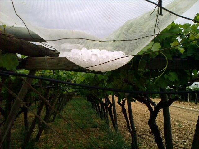 Puglia-grandinata