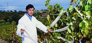 agronomo-obbligato-11-uomo-