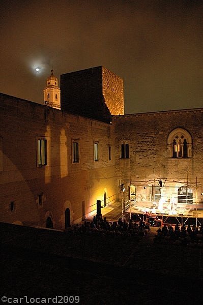 2009Casey_mcglynn_0015