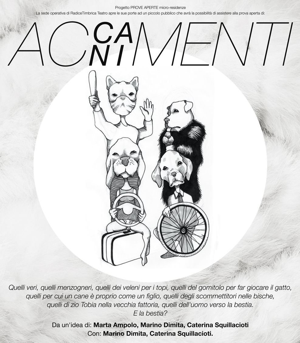 accanimenti_2