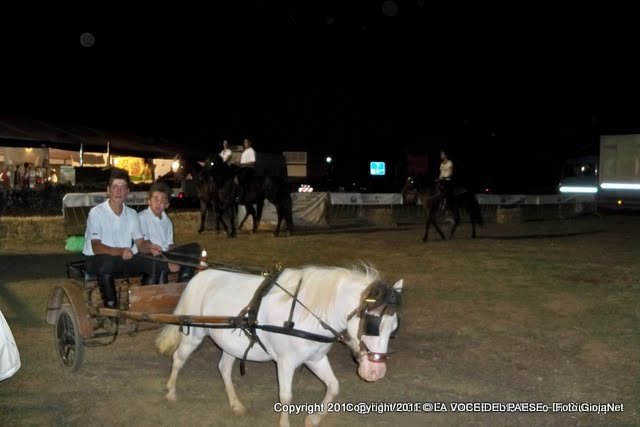 fiera_a_cavallo