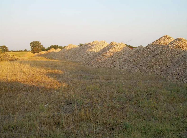 sequestro-forestale-ghiaia