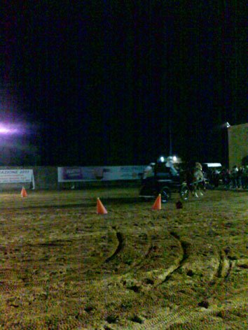 cavallo-fiera