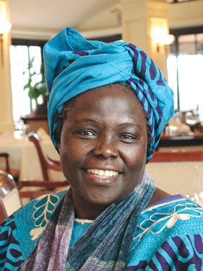 wangarimaathai_citazione
