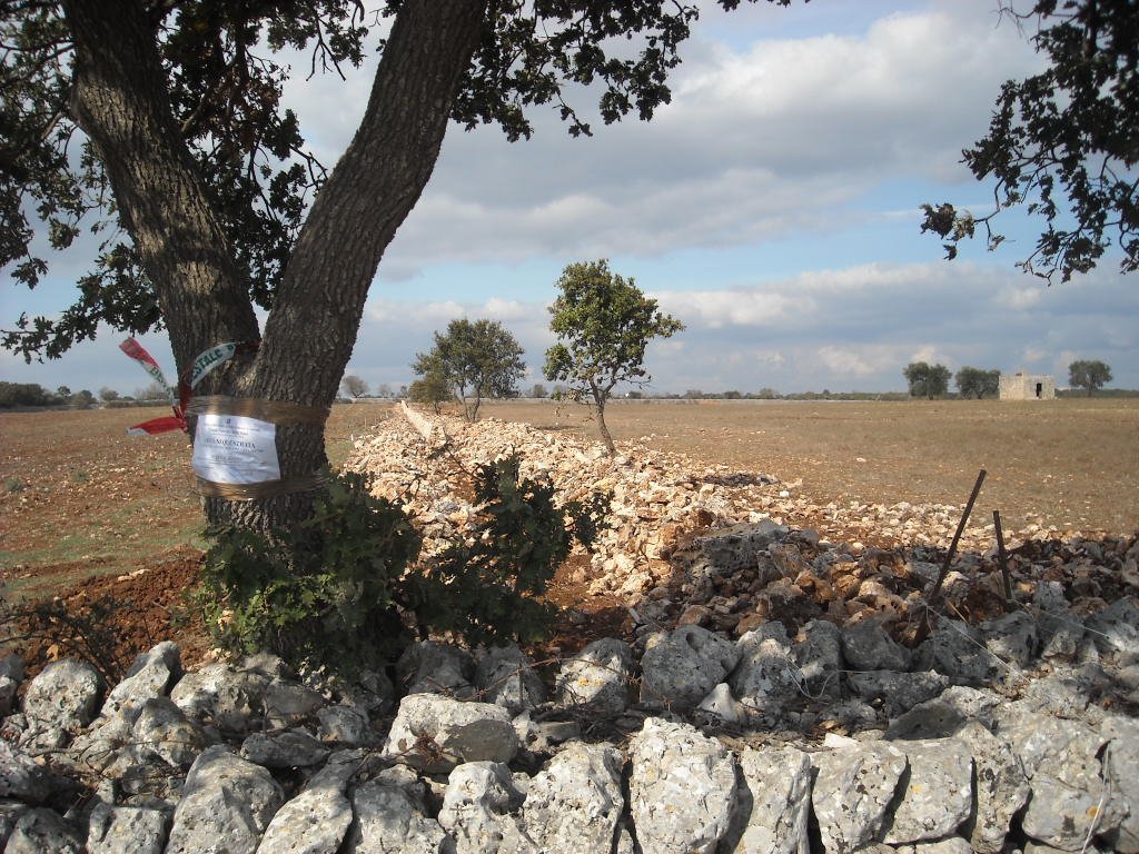 sequestro_area_marzagaglia