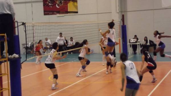 new volley gioiabari11