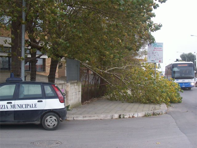 caduta-alberi-via-eva3