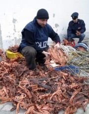 furto-rame polizia