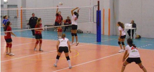 team-joya-2011 11