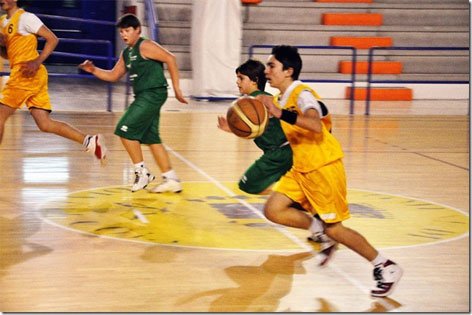 basket-don-minozzi-baby2