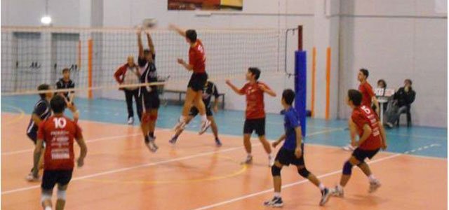 team-joya-2011 11 19 pp