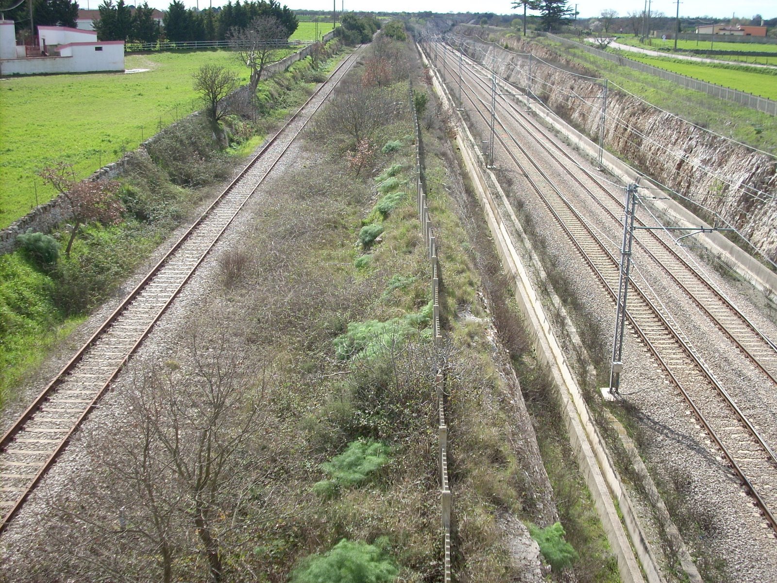 La Piazza 2 2008 Greenways 2