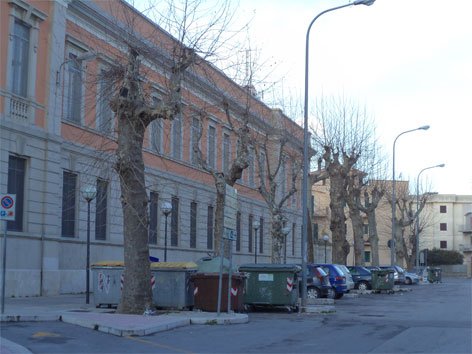 alberi-effetti-capitozzatur