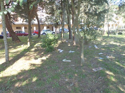 giardino-discarica-rifiuti